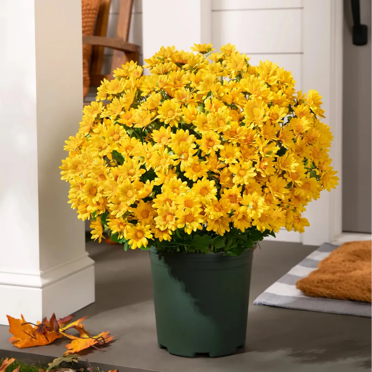 🔥 52% OFF Today Only 🔥 - Artificial Outdoor Mums Flowers - UV resistant, Waterproof, Windproof🌼